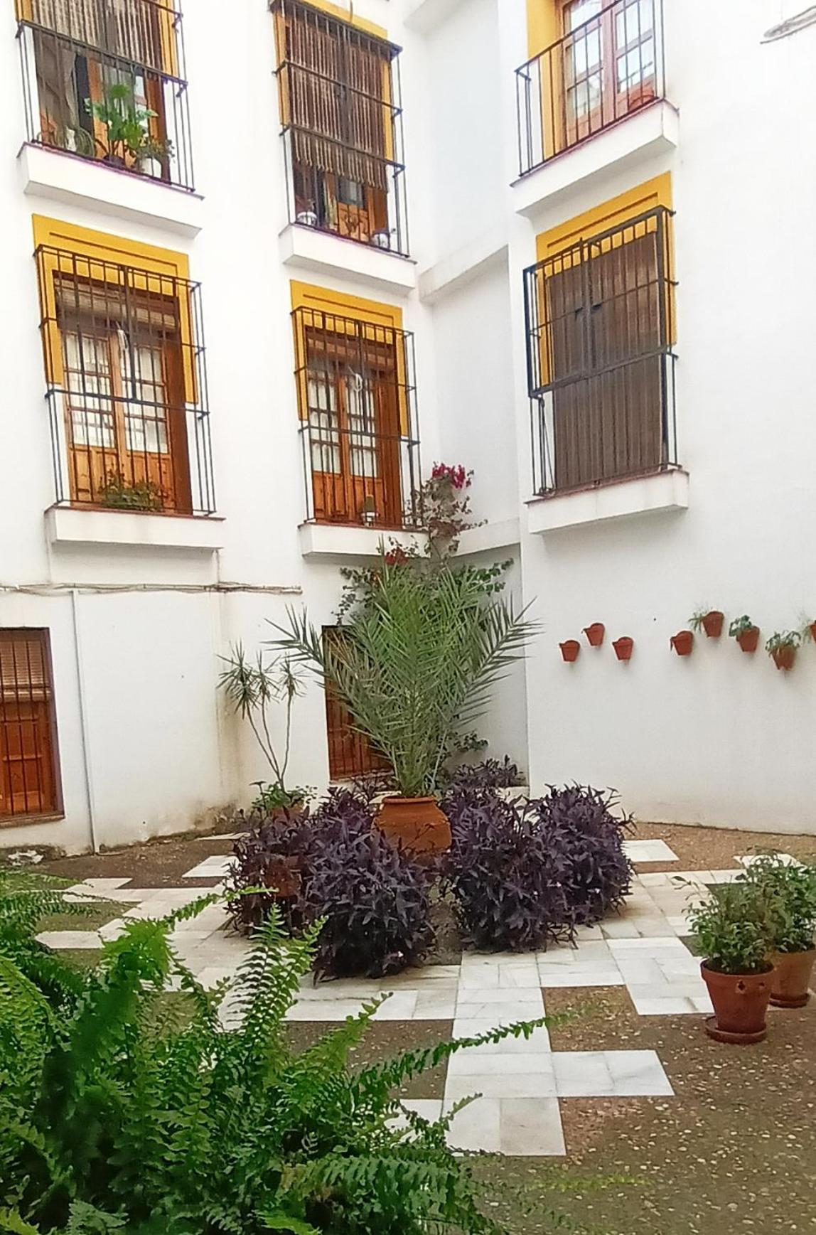 Historia Y Tradicion - Sevilla Desde Dentro. מראה חיצוני תמונה